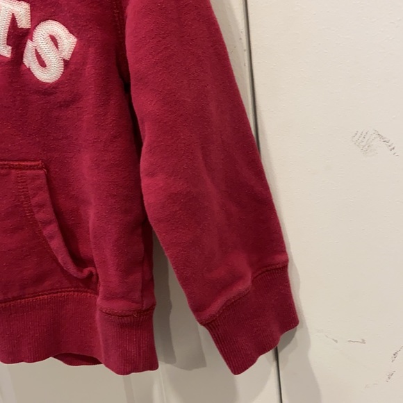 Roots Dark Pink Pullover Hoodie - Picture 5 of 10